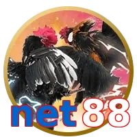net88