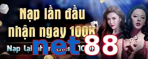 net88